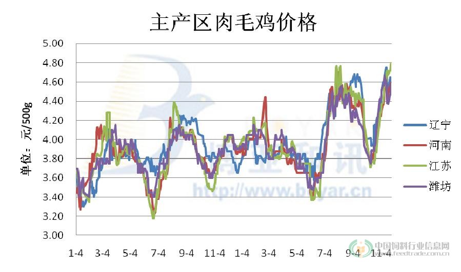 肉毛鸡价格最新行情走势分析报告