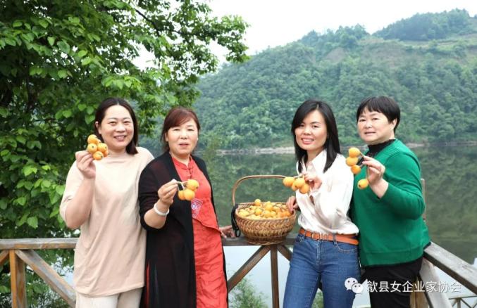 南充市伍果丽，乡村振兴路上的巾帼力量—最新进展与感人故事