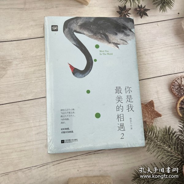 林笛儿最新力作你是我最美的—在文字的海洋里邂逅爱情的美好